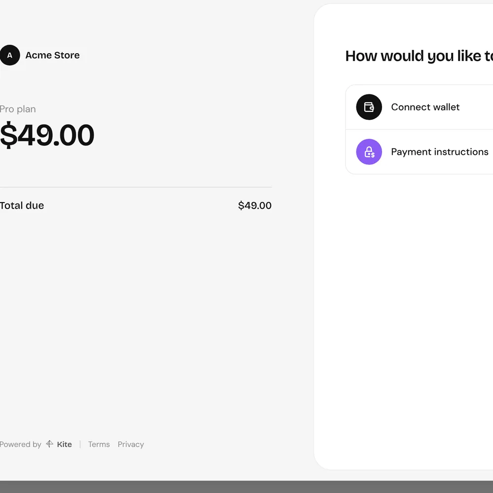 Kite checkout asking the customer how they would like to pay: connect a wallet or follow payment instructions.